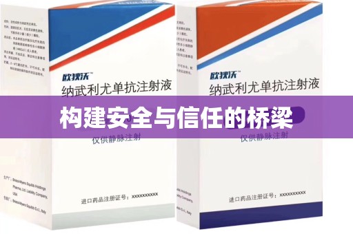深圳构建安全与信任的桥梁