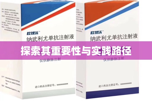 深圳探索其重要性与实践路径