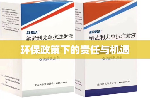 深圳环保政策下的责任与机遇