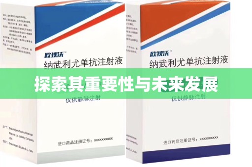 深圳探索其重要性与未来发展