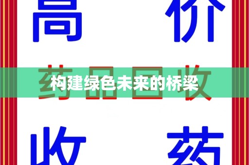 深圳构建绿色未来的桥梁