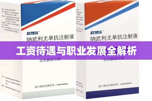 深圳工资待遇与职业发展全解析