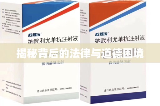 深圳揭秘背后的法律与道德困境