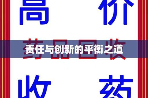 深圳责任与创新的平衡之道