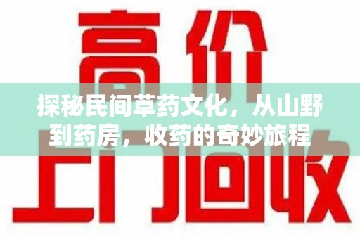 深圳探秘民间草药文化，从山野到药房，收药的奇妙旅程