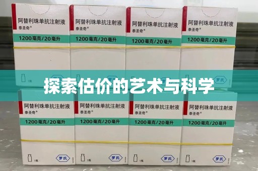 深圳探索估价的艺术与科学
